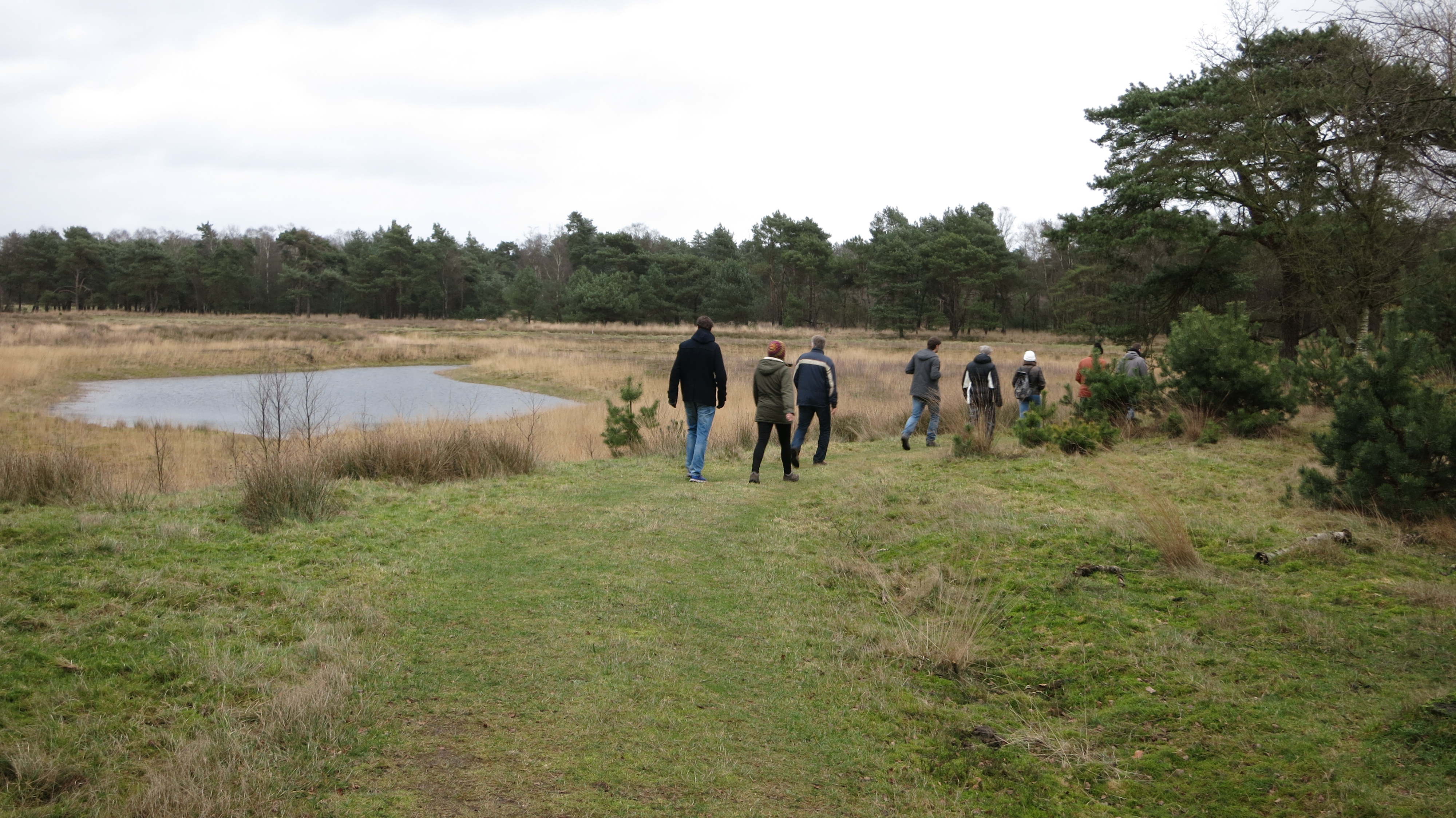 NWK 2015 Haarle 034.jpg